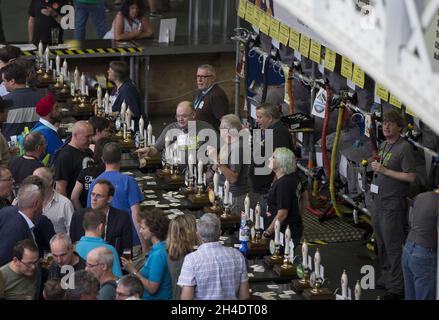 Gli appassionati di birra partecipano all'annuale Great British Beer Festival 2016 della Campaign for Real Ale (CAMRA) a Kensington Olympia, West London. Foto Stock