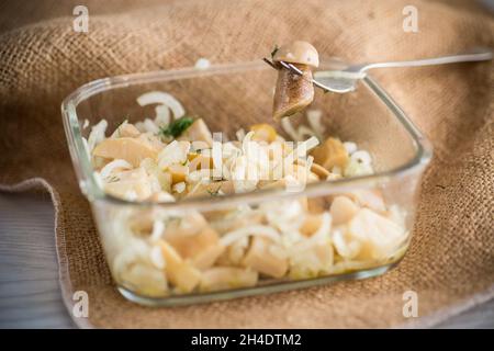 funghi naturali biologici selvatici marinati con cipolle in una ciotola di vetro Foto Stock