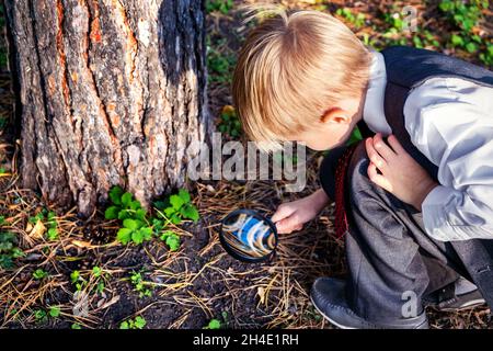 Capretto con una lente d'ingrandimento che guarda all'aperto Insect Foto Stock