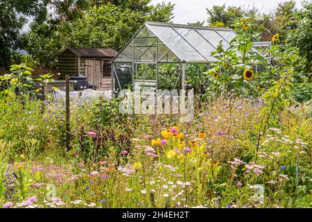 Una serra tradizionale su un allotment inglese circondato da fiori estivi. Foto Stock