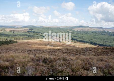 Il viadotto Big Water of Fleet attraversa la Big Water of Fleet a Dromore, vicino al Gatehouse of Fleet Dumfries e Galloway Scozia Foto Stock