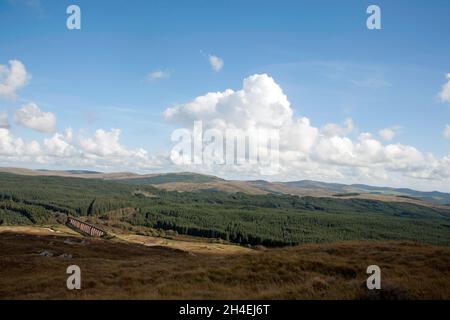 Il viadotto Big Water of Fleet attraversa la Big Water of Fleet a Dromore, vicino al Gatehouse of Fleet Dumfries e Galloway Scozia Foto Stock