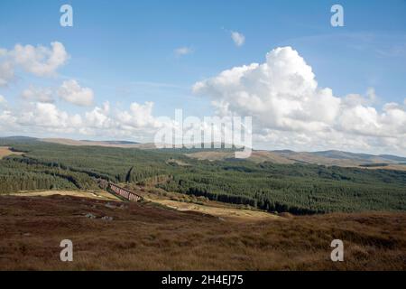 Il viadotto Big Water of Fleet attraversa la Big Water of Fleet a Dromore, vicino al Gatehouse of Fleet Dumfries e Galloway Scozia Foto Stock