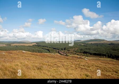 Il viadotto Big Water of Fleet attraversa la Big Water of Fleet a Dromore, vicino al Gatehouse of Fleet Dumfries e Galloway Scozia Foto Stock