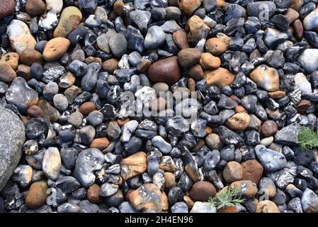 Kieselsteine an der Ostseekueste sind wunderschoen anzusehen. I ciottoli sulla costa baltica sono belli da vedere. Foto Stock