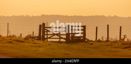 Scatto panoramico di una recinzione rurale, a Cissbury Ring, West Sussex UK Foto Stock