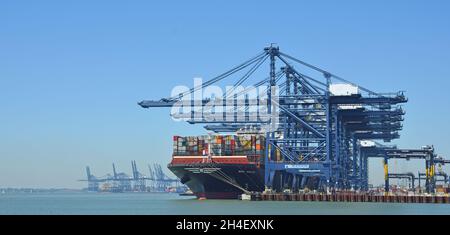 Nave Container MSC Venezia carico - scarico al porto di Felixstowe Foto Stock