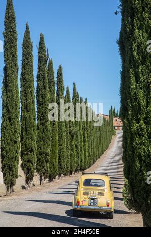 ITALIA TOSCANA Foto Stock