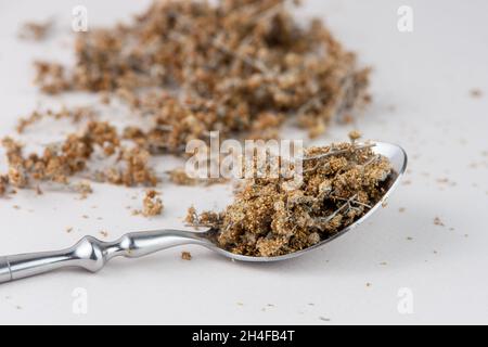 Cucchiaio con erba secca di legno di vermello isolato su sfondo bianco. Foto Stock