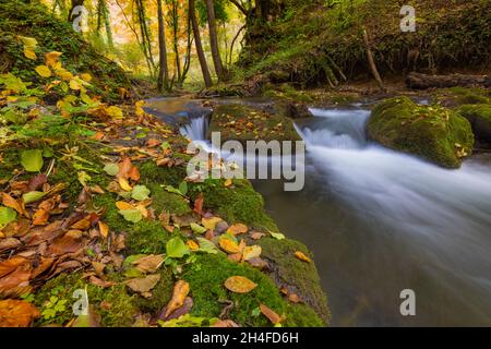 Torrente di montagna con piccole cascate in autunno, Zumberak, Croazia Foto Stock