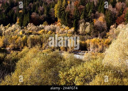 Fine autunno colori di una foresta di pianura vicino al fiume Lech Foto Stock