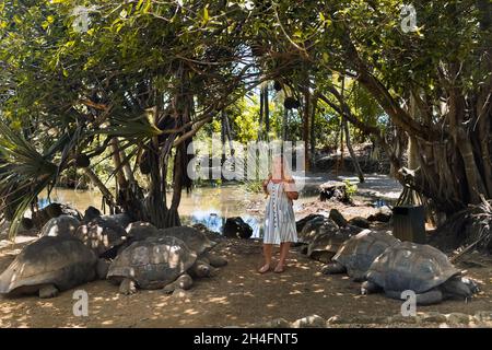 Divertimento per tutta la famiglia a Mauritius. Una ragazza si trova vicino alle tartarughe giganti allo Zoo di Mauritius. Foto Stock