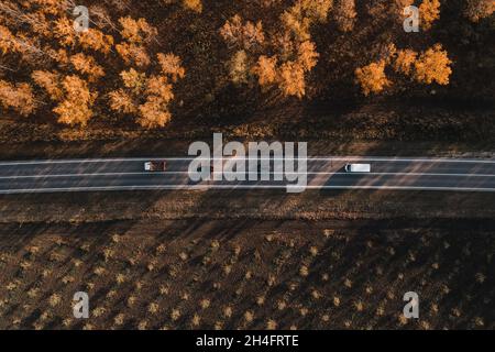 Scatto aereo di camion, minivan e due auto sulla strada attraverso la foresta in autunno, top down drone pov di traffico sulla strada in paesaggio non urbano Foto Stock