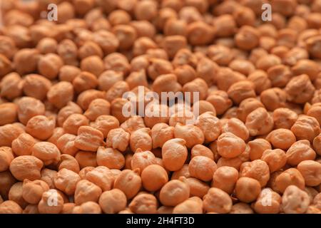 Mucchio di legume crudo di ceci, macro shot con profondità di campo poco profonda e fuoco selettivo Foto Stock