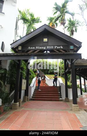 Ann Siang Hill Park nel quartiere cinese di Singapore. Un parco pubblico con alberi e panchine e vedute dei grattacieli del quartiere finanziario di Singapore. Foto Stock