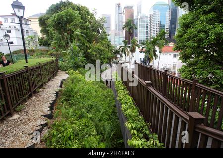 Ann Siang Hill Park nel quartiere cinese di Singapore. Un parco pubblico con alberi e panchine e vedute dei grattacieli del quartiere finanziario di Singapore. Foto Stock