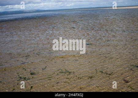 Scozia, Highlands, Nairn, Moray Firth, spettacolare skyline, Bella spiaggia, Golden Sands, Blue Skies, nuvole bianche, Hilltop background, Linea costiera Foto Stock