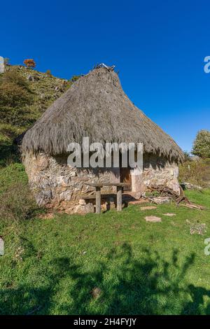 Cabina tradizionale con tetto di scopa , teito, nella città di Valle de Lago in Somiedo, Asturias. Foto Stock