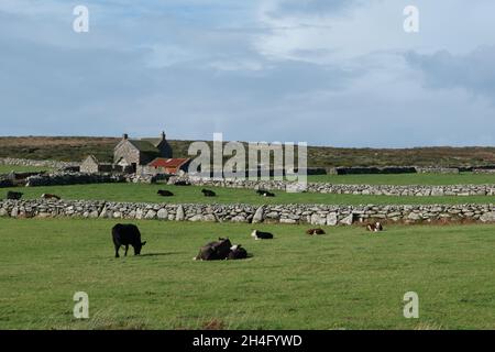 Fattoria abbandonata vicino a Madron, Cornovaglia, Inghilterra Foto Stock