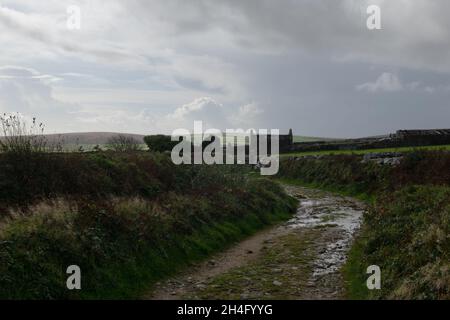 Pista rurale vicino a Madron sulla Peninwith Peninsula, Cornovaglia, Regno Unito Foto Stock