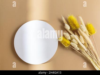 Mazzo secco di spighe di grano su sfondo beige, vista dall'alto. Bouquet di fiori secchi con ombre solari. Carta floreale. Mockup. Minimalismo Foto Stock