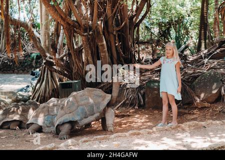 Divertimento per tutta la famiglia a Mauritius. Una ragazza nutre una tartaruga gigante allo zoo dell'isola di Mauritius. Foto Stock