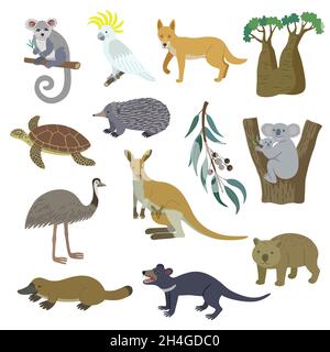 Grande insieme di natura dell'Australia, animali, uccelli, tartarughe e piante. Immagine disegnata a mano con clip vettoriale, isolata su sfondo bianco. Illustrazione Vettoriale