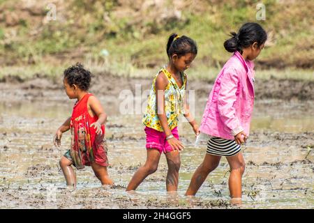 An Giang 21 settembre 2019. I bambini giocano sul campo di riso nel tradizionale festival cambogiano Foto Stock