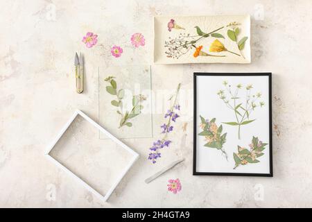 Composizione con fiori secchi pressati e cornici su sfondo chiaro Foto Stock
