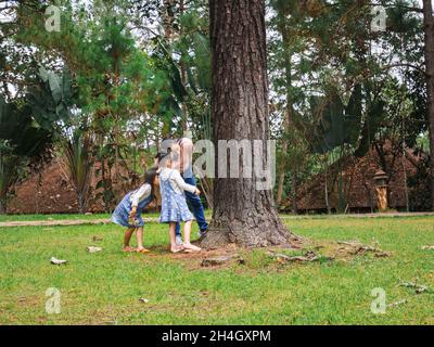 Madre e figlie che esplorano la natura su un grande albero al mattino. Una famiglia felice che gioca all'aperto. La famiglia ha trascorso del tempo insieme. Foto Stock