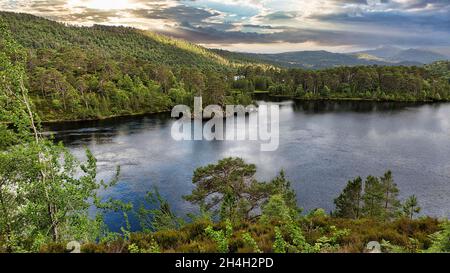 Glen Affric Nature Reserve, River Affric, Highlands, Scozia, Regno Unito Foto Stock