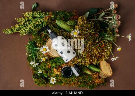 Bottiglie di cosmetici con crema. Cosmetici biologici naturali, medicina alternativa, essenza di erbe, concetto sostenibile. Vista dall'alto, spazio di copia. Colon. Neutro Foto Stock