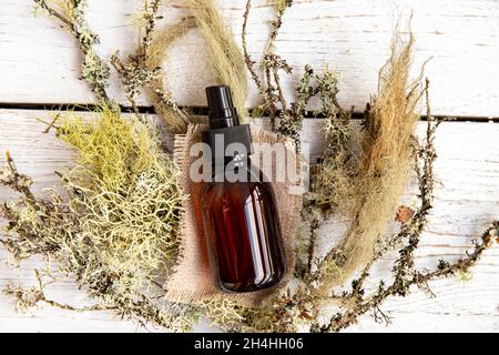 Flacone per pipette marrone con tintura all'interno di medicinali a base di lichene alle erbe. Usnea barbata o la barba di vecchio o la barba lichen concetto tintura. Disposizione piatta. Foto Stock