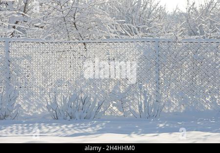 Primo piano di molte celle di recinzione a catena che sono coperte di neve fresca bianca brillante in controluce di sole della mattina d'inverno. Foto Stock