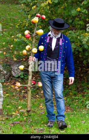 Cérémonie de l'arbre à pommes à la Fontaine Blanche , Plougastel-Daoulas, Bretagna Foto Stock