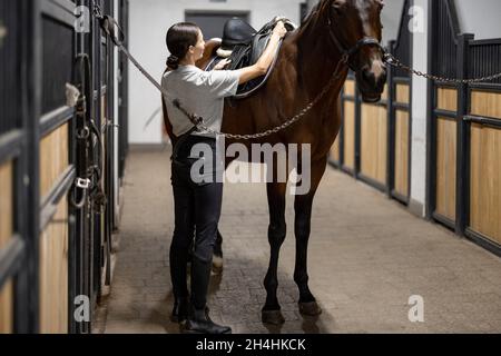 Il cavaliere femminile mette le munizioni sul suo cavallo in stalla Foto Stock