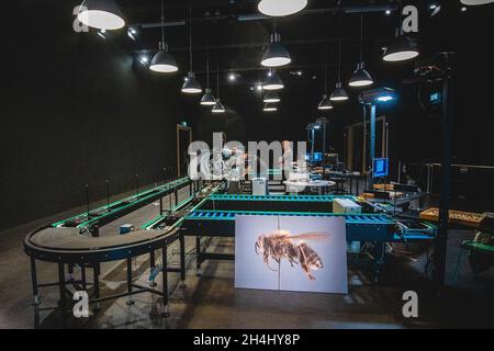 LEIDEN, PAESI BASSI - 13 agosto 2021: Le persone che lavorano al Museo di Storia Naturale. Leiden, Paesi Bassi Foto Stock