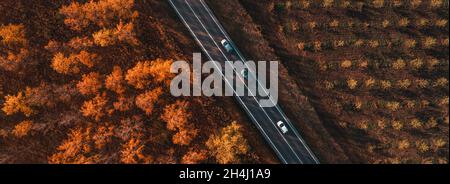 Scatto aereo di tre auto sulla strada attraverso foresta decidua in autunno, top down drone pov di veicoli che guidano lungo la strada Foto Stock