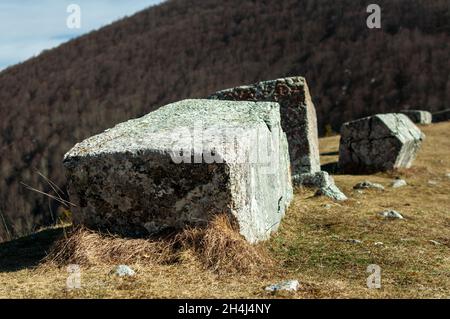 Lapidi bosniache medievali (staćak) nelle alte montagne Foto Stock