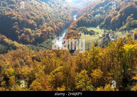 Die Tara-Schlucht im Herbst, Pljevlja, Montenegro, Europa | Autunno al canyon del fiume Tara, Pljevlja, Montenegro, Europa Foto Stock