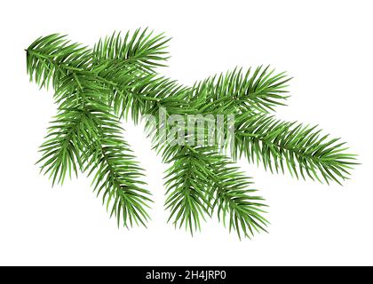 Ramo di abete rosso isolato su sfondo bianco. Abete verde. Albero di Natale realistico. Illustrazione vettoriale per carte natalizie, banner, volantini, festa di Capodanno p Illustrazione Vettoriale