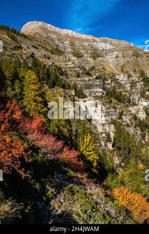 Francia, Hautes-Alpes, città di Saint-Jean Saint-Nicolas e Saint-Michel de Chaillol, Famourou aghi, burrone ripido setaccio con monoliti di arenaria Foto Stock