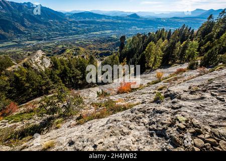 Francia, Hautes-Alpes, città di Saint-Jean Saint-Nicolas e Saint-Michel de Chaillol, Famourou aghi, burrone ripido setaccio con monoliti di arenaria Foto Stock