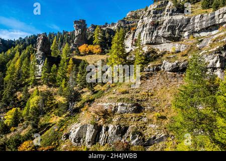 Francia, Hautes-Alpes, città di Saint-Jean Saint-Nicolas e Saint-Michel de Chaillol, Famourou aghi, burrone ripido setaccio con monoliti di arenaria Foto Stock