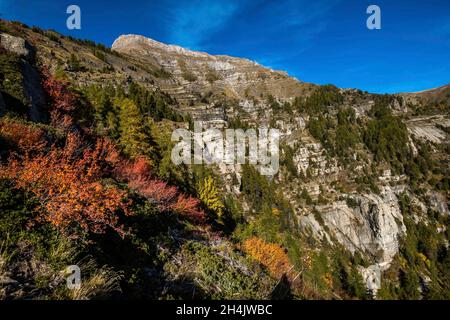 Francia, Hautes-Alpes, città di Saint-Jean Saint-Nicolas e Saint-Michel de Chaillol, Famourou aghi, burrone ripido setaccio con monoliti di arenaria Foto Stock