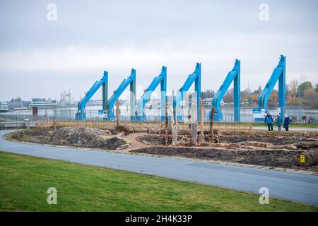 Brema, Germania. 03 novembre 2021. L'insetto mostra giardino al Weser Wir. Insieme ad altre associazioni naturalistiche, BUND Bremen ha creato un giardino di 800 metri quadrati per esposizione di insetti. Sono state piantate più di 1000 piante selvatiche e altrettanti bulbi di fiori. Le piante forniranno cibo per insetti primavera prossima. Credit: Sina Schuldt/dpa/Alamy Live News Foto Stock