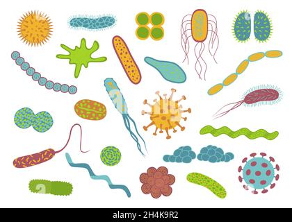 Icone di germi e batteri dal design piatto isolate su sfondo bianco. Forma della cellula batterica: Cocci, bacilli, spirilla. Illustrazione vettoriale. Illustrazione Vettoriale