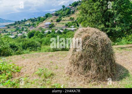 Fieno vicino al villaggio di Haghpat in Armenia Foto Stock