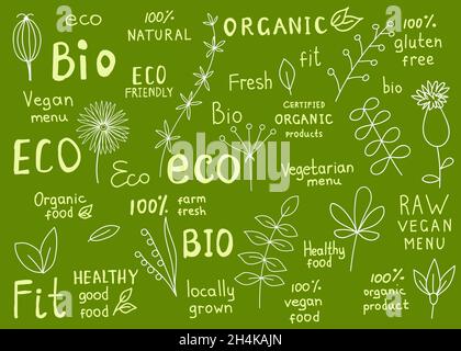 Set di organico, fit, naturale, fresco, bio, etichette alimentari prive di glutine, crude, ecologiche e salutari. Badge retrò con elementi floreali per caffè vegano, ristorante Illustrazione Vettoriale