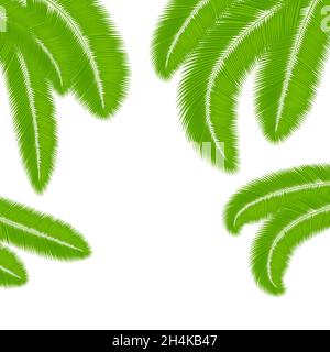 Il palmo verde lascia silhouette isolate su sfondo bianco. Facciate tropicali estive. Elementi di progettazione vettoriale. Illustrazione Vettoriale